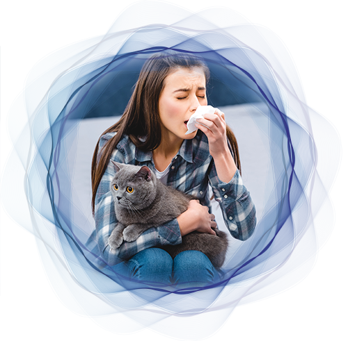 i sintomi più comuni allergia pelo del gatto lofarma
