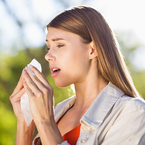 che-cosa-e-allergia-olivo_lofarma che-cosa-e-allergia-olivo_lofarma