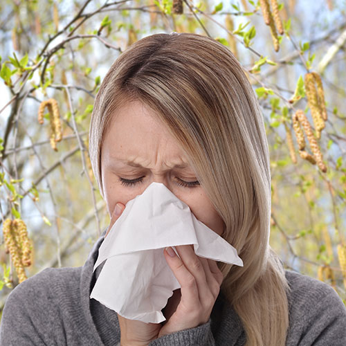 cosa-e-allergia-betulacee_lofarma